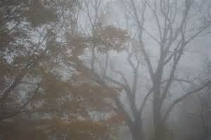 Fog 2 for Hada